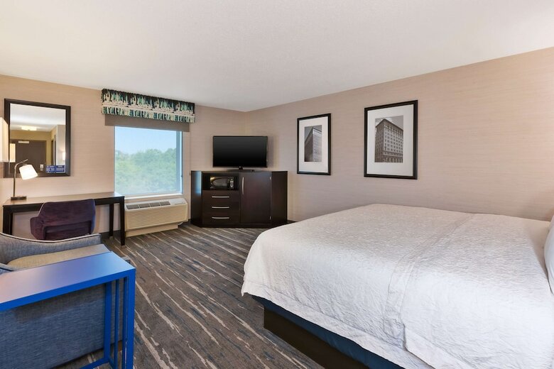 Hotel Hampton Inn And Suites Flint/g