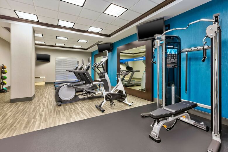 Hotel Hampton Inn And Suites Flint/g