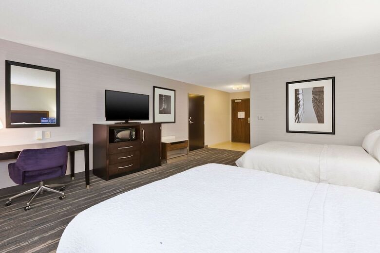 Hotel Hampton Inn And Suites Flint/g