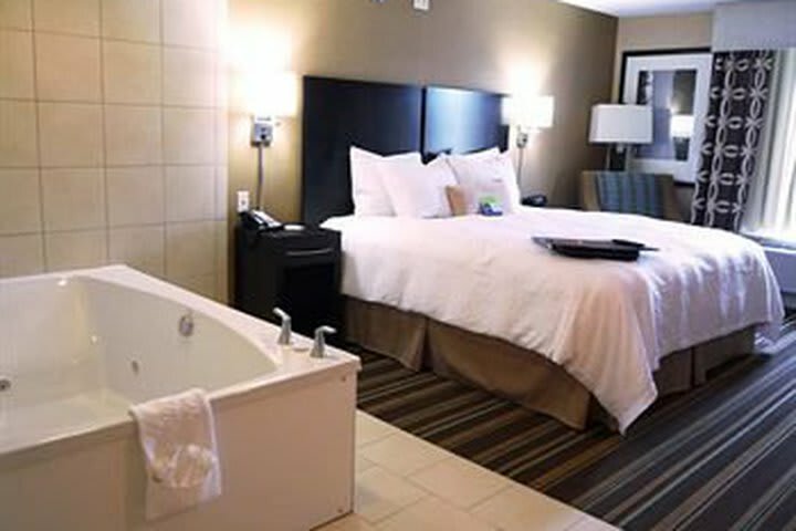 Hotel Hampton Inn And Suites Flint/g