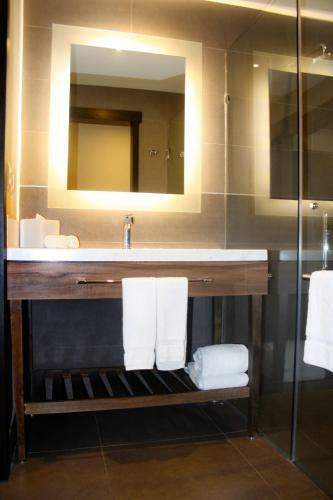 Hotel Hilton Garden Inn Aguascalientes