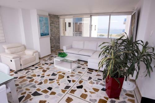 Excelentes Apartamentos Frente Al Mar