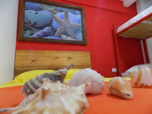 Albergue Hostal Caracoles