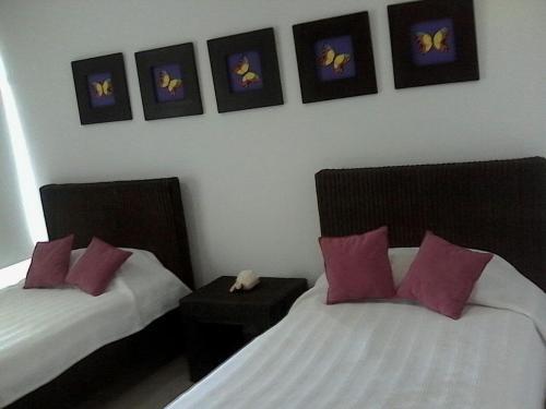 Apartamento Morros Terraza Tropical