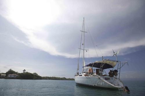 Velero 44 Pies.