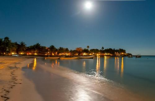 Apartamento Modern And Brand New Units In Akumal