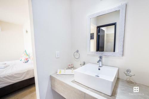 Hotel Blue Matisse