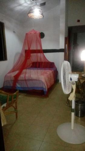 Bacalar Camping "el Arbol de La Vida"