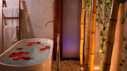 Hotel Cabanas Luxury