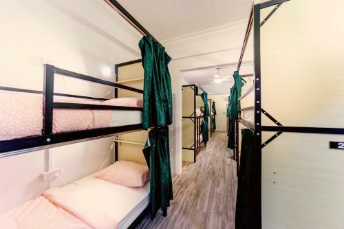 Albergue Lodge41