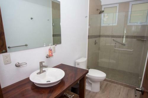 Suite Oly Apartments Apts