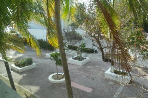 Apartamento Colibr� Condominiums 301 Condo