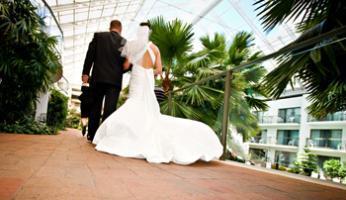 Hotel Best Western Lamplighter Inn  Suites