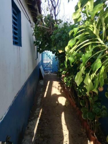Casita Azul En Sagi-rn