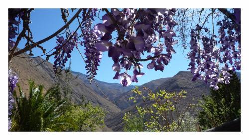 Casas Amancay