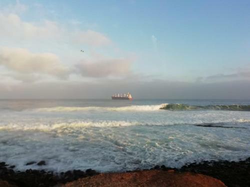 Apartamento Excelente Departamento En Antofagasta