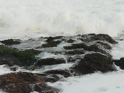 Apartamento Excelente Departamento En Antofagasta