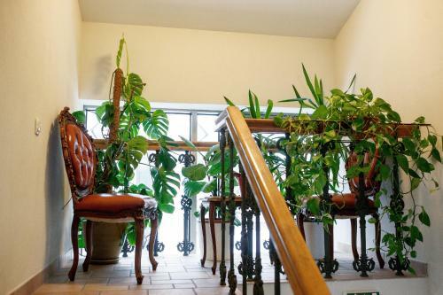 Residencia 'friedrich' Guesthouse