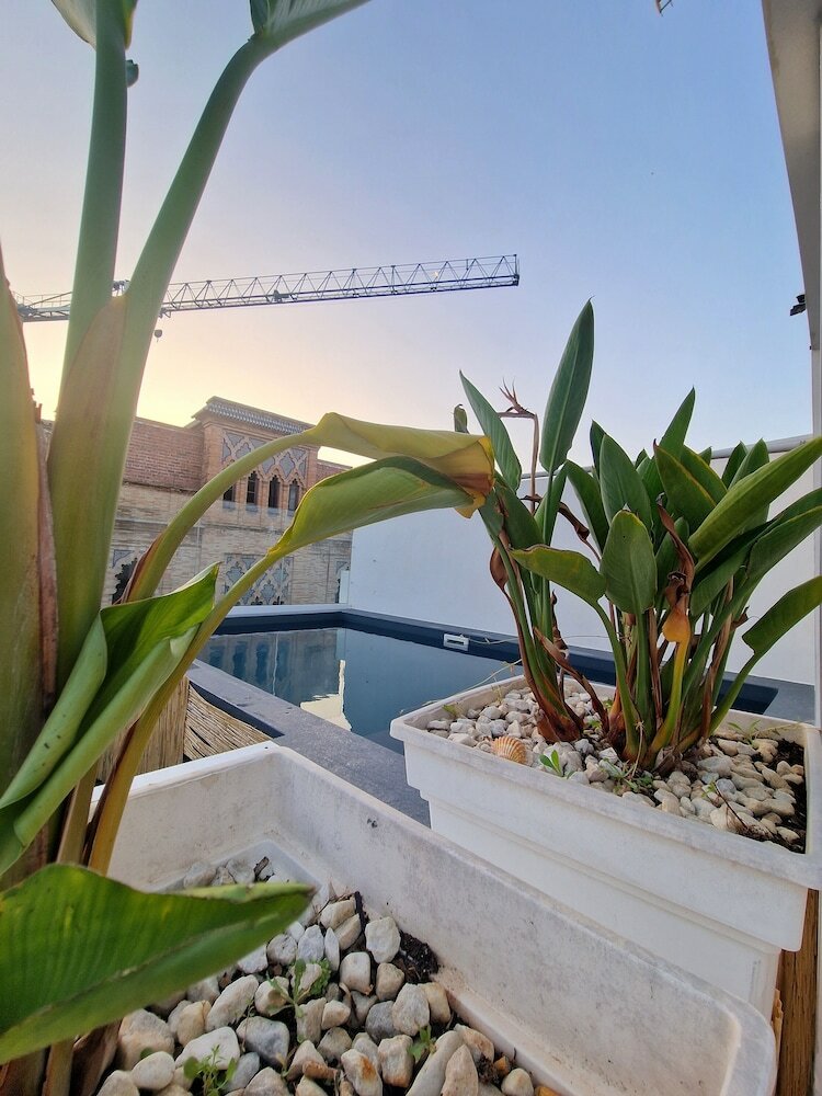 Hotel Y Apartamentos Do�a Lola