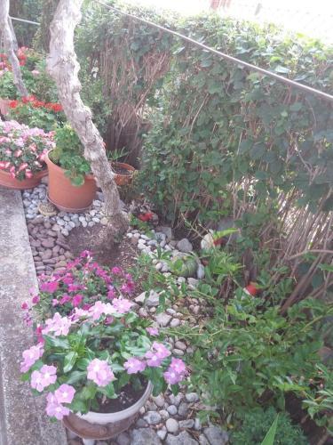 Apartment Biograd Na Moru 15651a