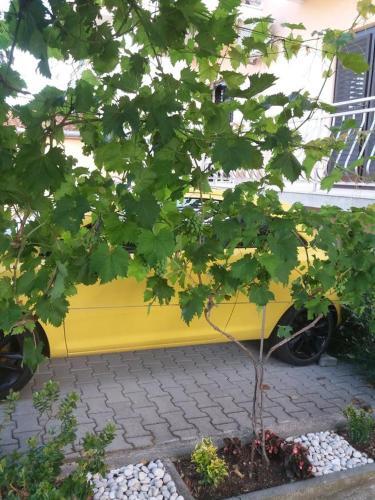 Apartment Biograd Na Moru 15651a
