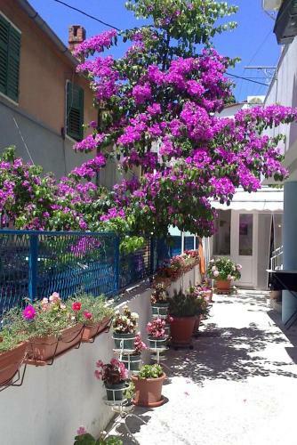 Apartment Biograd Na Moru 12747a