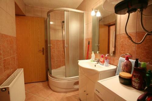 Apartment Delnice 14895a