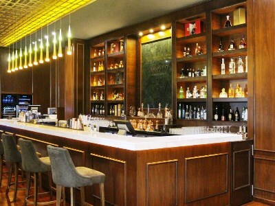Hotel Royal Saray Resort