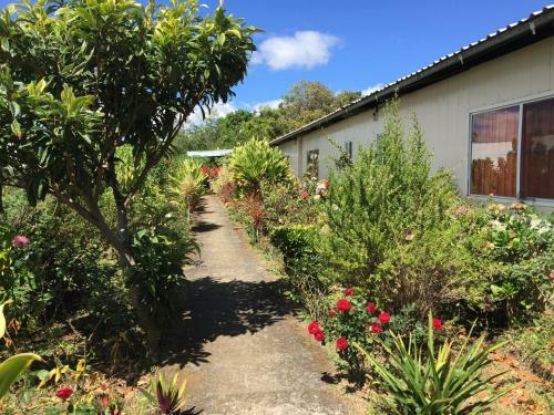 Hostel & Campamento Cafeaventura