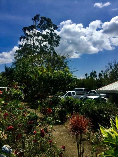 Hostel & Campamento Cafeaventura