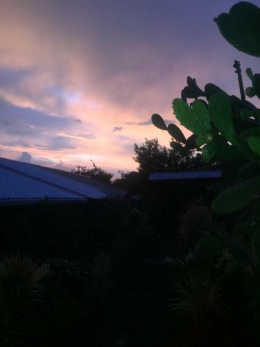 Hostel & Campamento Cafeaventura