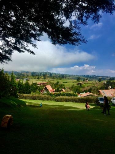 Hostel & Campamento Cafeaventura