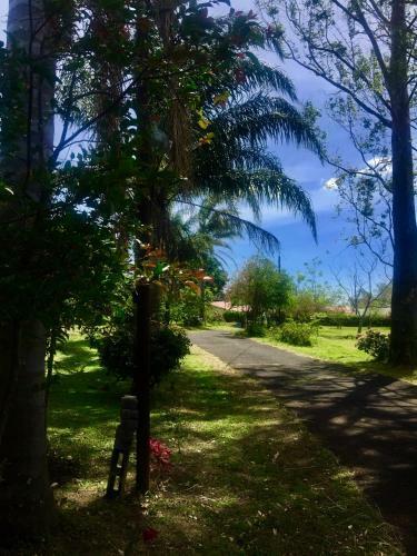 Hostel & Campamento Cafeaventura