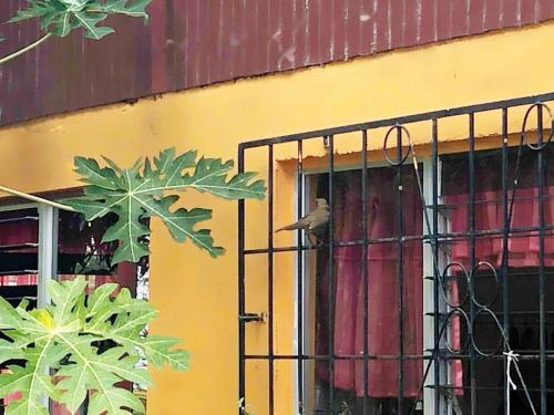 Casa De Campo En La Fortuna De San Carlos