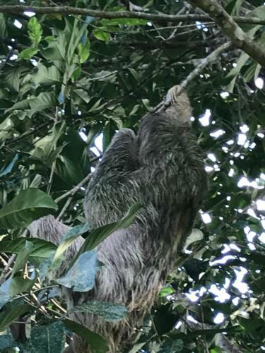 Casa De Campo En La Fortuna De San Carlos