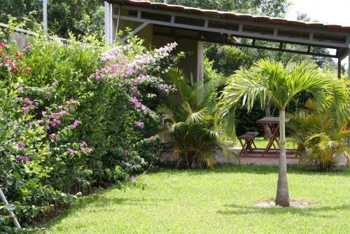 Apartamentos La Alborada