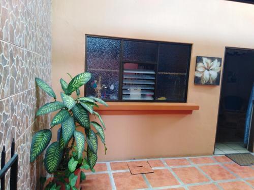 Hostel Yomay