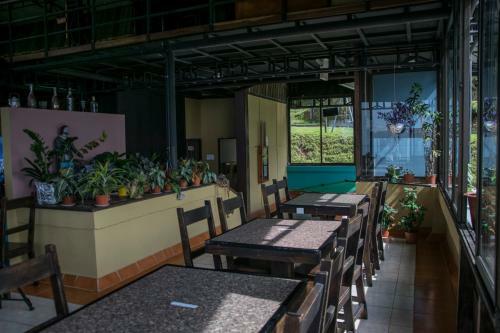 Hotel Alto Palomo