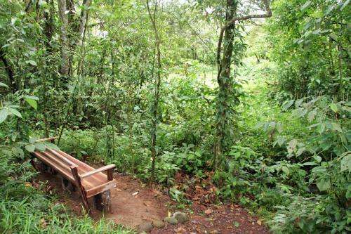 Finca Amistad Cacao Lodge