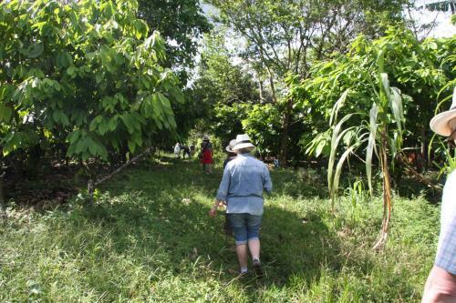 Finca Amistad Cacao Lodge