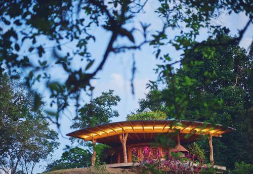 Hotel Origins Lodge
