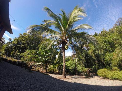 Pura Vida In Costa Rica