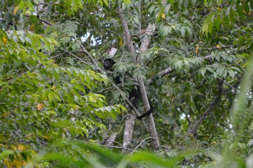 Pura Vida In Costa Rica