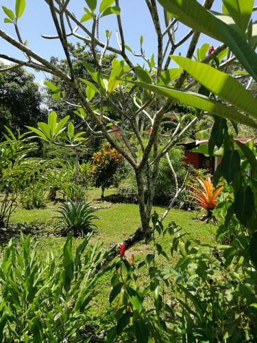 Hotel Secret Garden