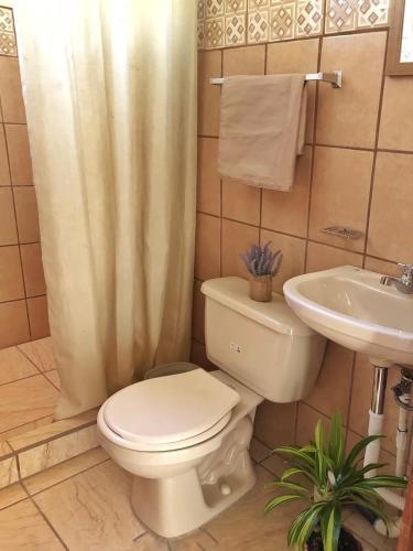 Apartamento Caba�a Vista Verde