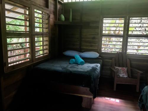 Casa Colibri