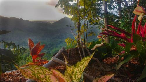 Junglesea Lodge