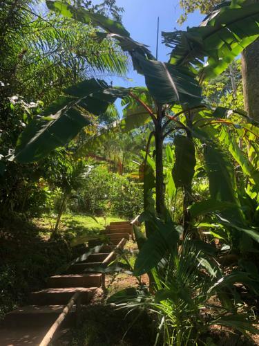 Hotel Casa Del Toucan