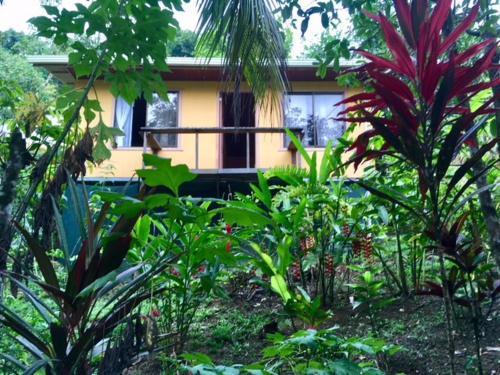 Apartamento Caba�as Tico Gringo