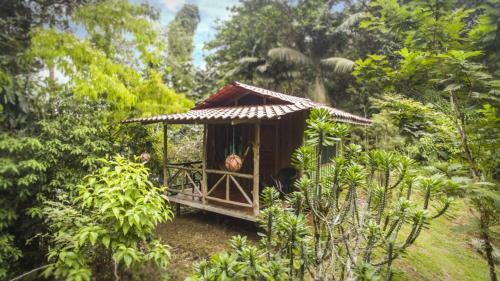 Apartamento Naguala Condo #256823 Condo